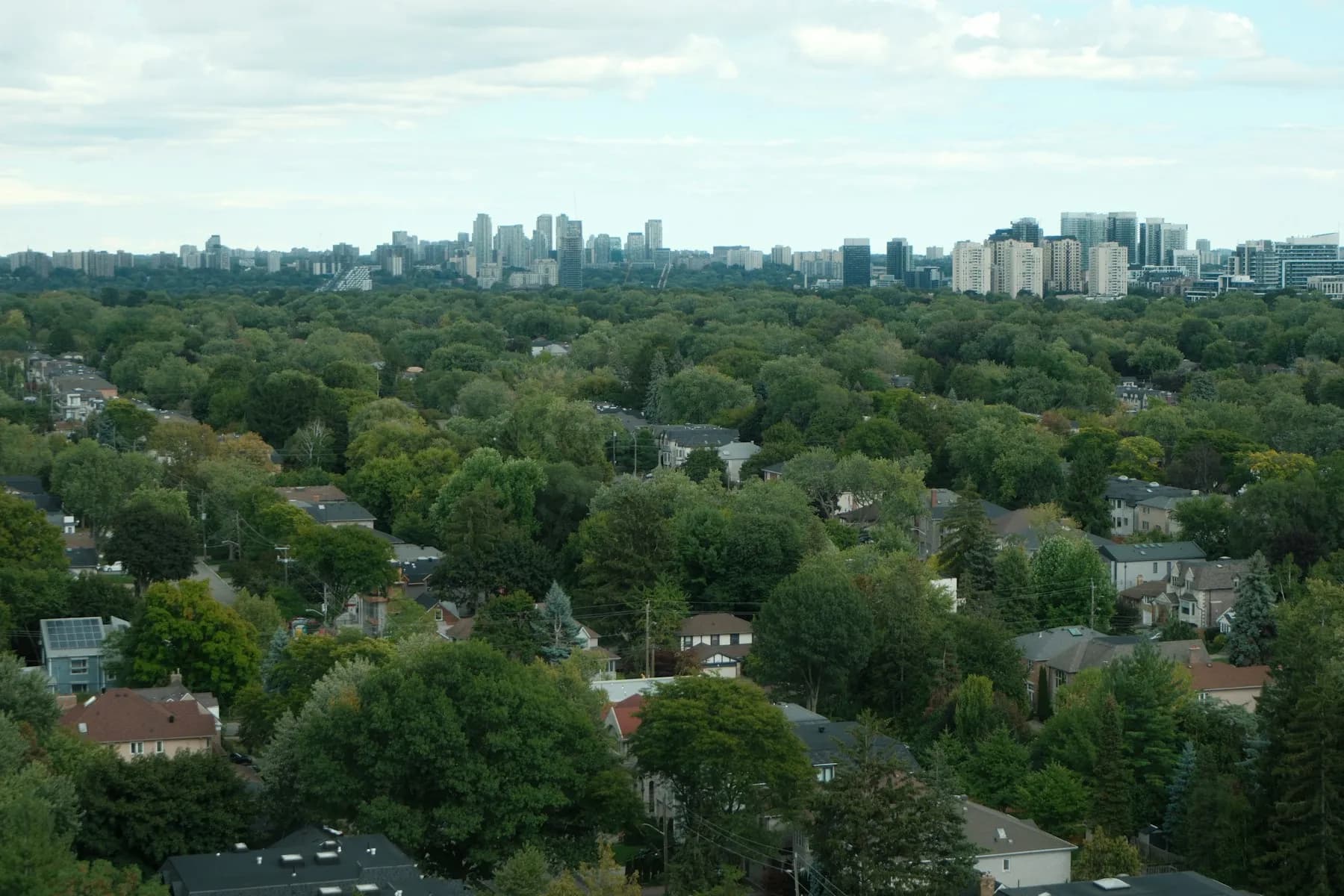 Tree-covered North York houses with the midtown Toronto skyline in the distance